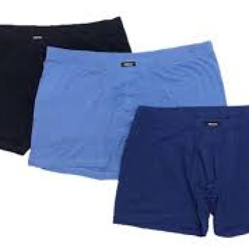Champion c9 Boxer Briefs